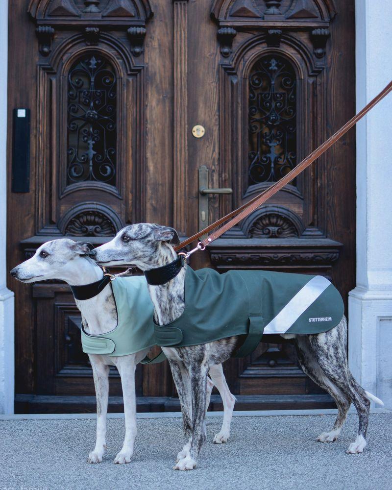 Stutterheim Dog Raincoat Green