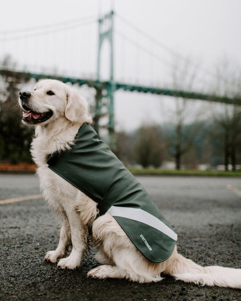 Stutterheim Dog Raincoat Green