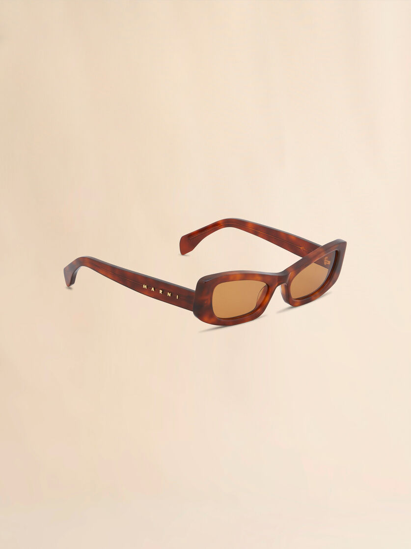 Stutterheim X Marni Havana Nyama Sunglasses