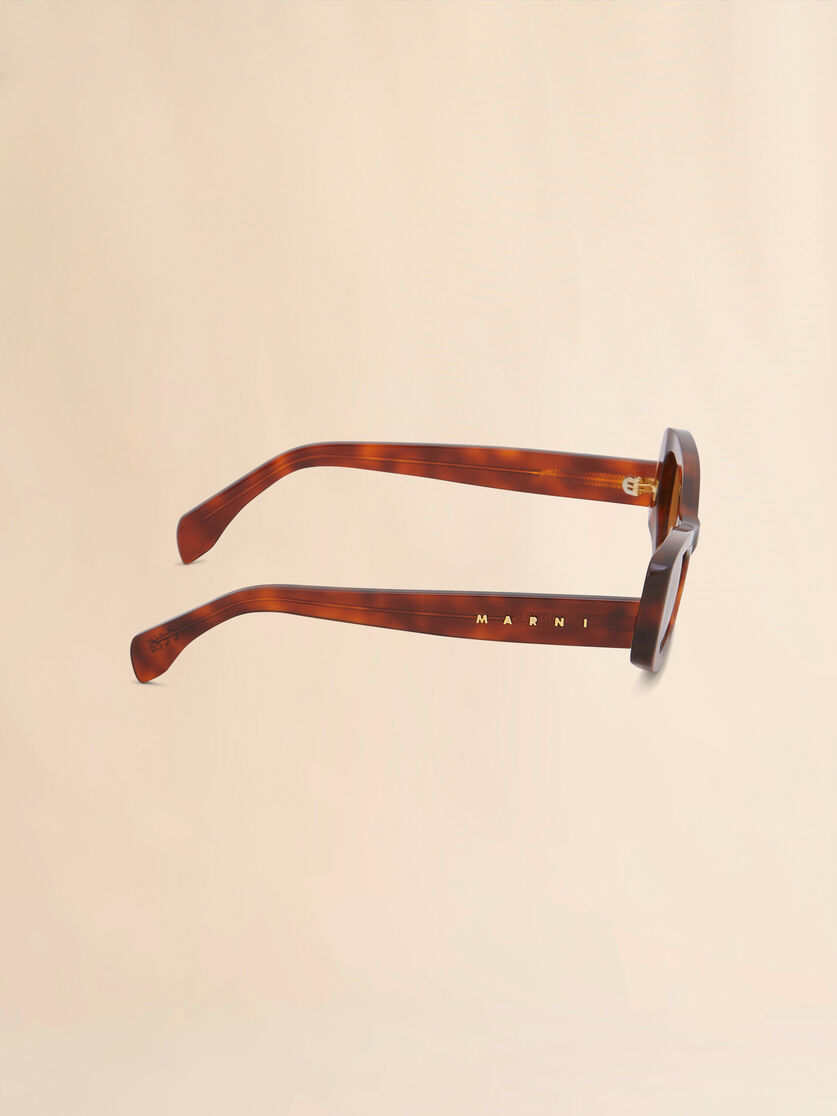 Stutterheim X Marni Havana Nyama Sunglasses