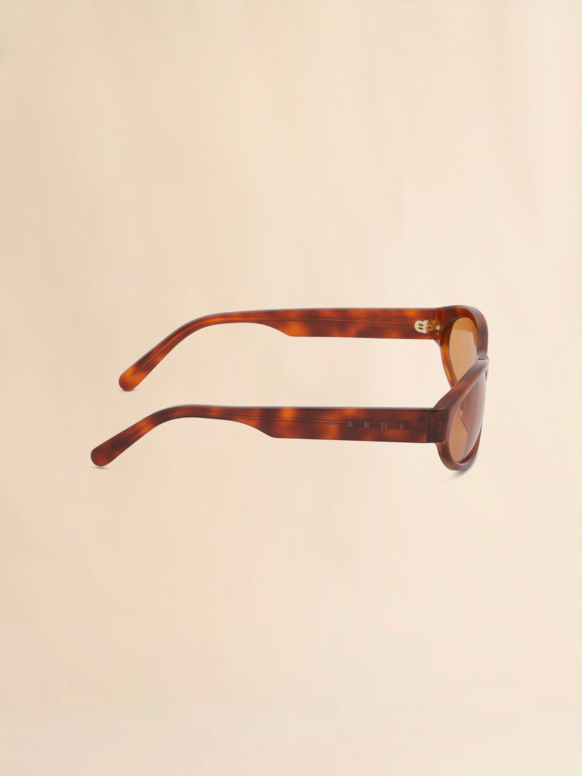 Stutterheim X Marni Havana Ozound Sunglasses