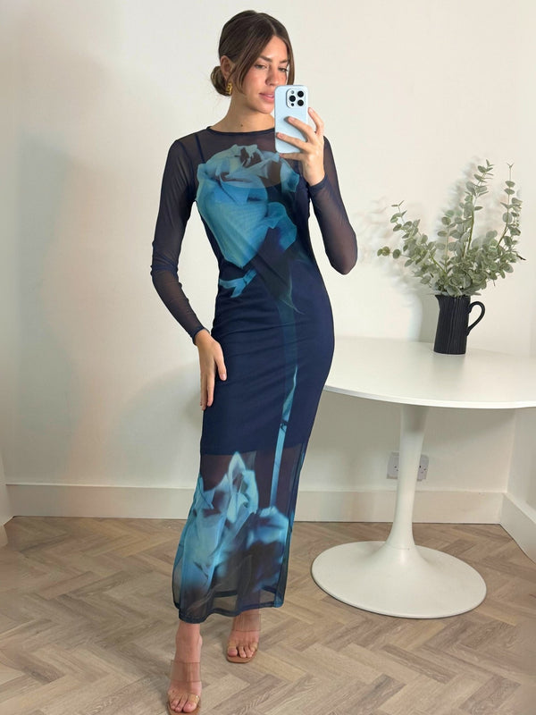 style cheat Elma Long Sleeve Mesh Maxi Dress in Blue Floral