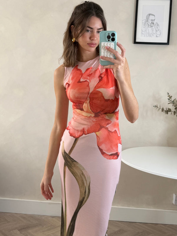 Style Cheat Placement Floral Maxi Dress In Pink