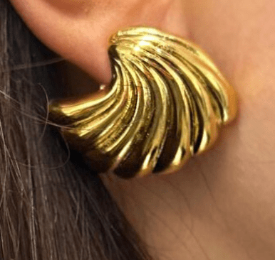 Style Cheat Sea Shell Earrings In Gold