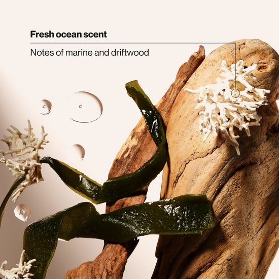 Suave Aluminum Free Ocean Charge Men's Deodorant