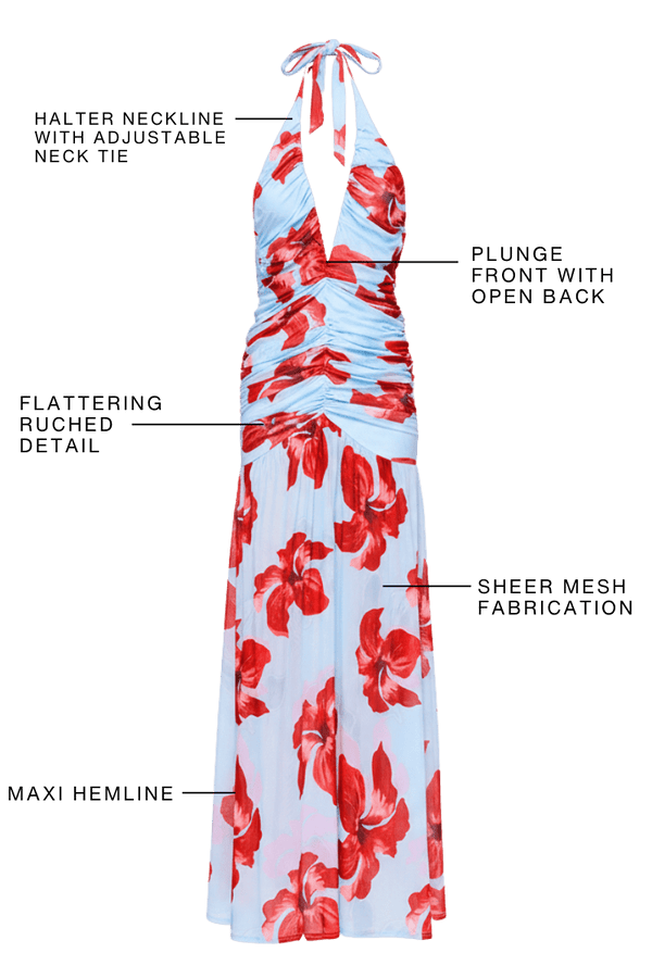 Suboo Chloe Floral Halter Mesh Plunge Maxi Dress – Blue Pink