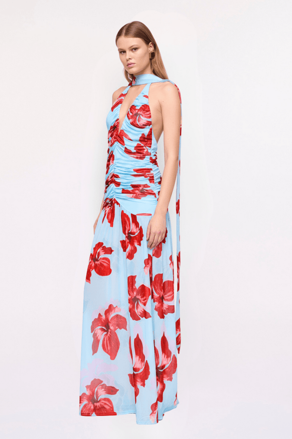 Suboo Chloe Floral Halter Mesh Plunge Maxi Dress – Blue Pink