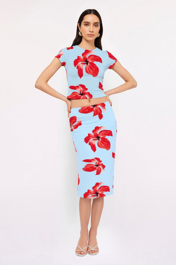 suboo Chloe Floral Mesh Crop Top – Blue Pink