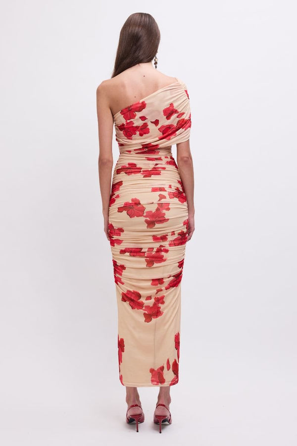 Suboo Suzie One-Shoulder Floral Mesh Maxi Dress
