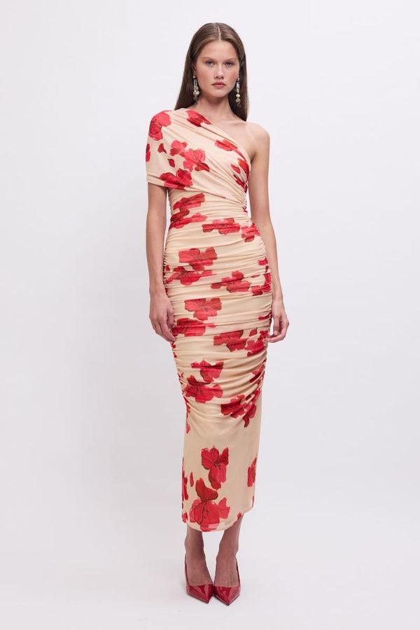 suboo Suzie One-Shoulder Floral Mesh Maxi Dress