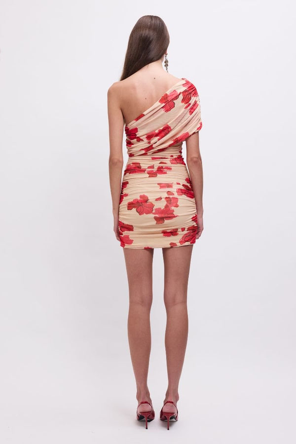 Suboo Suzie One-Shoulder Floral Mesh Mini Dress