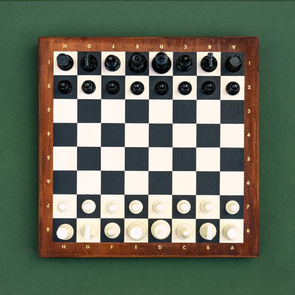 Suck Uk Chess Deluxe