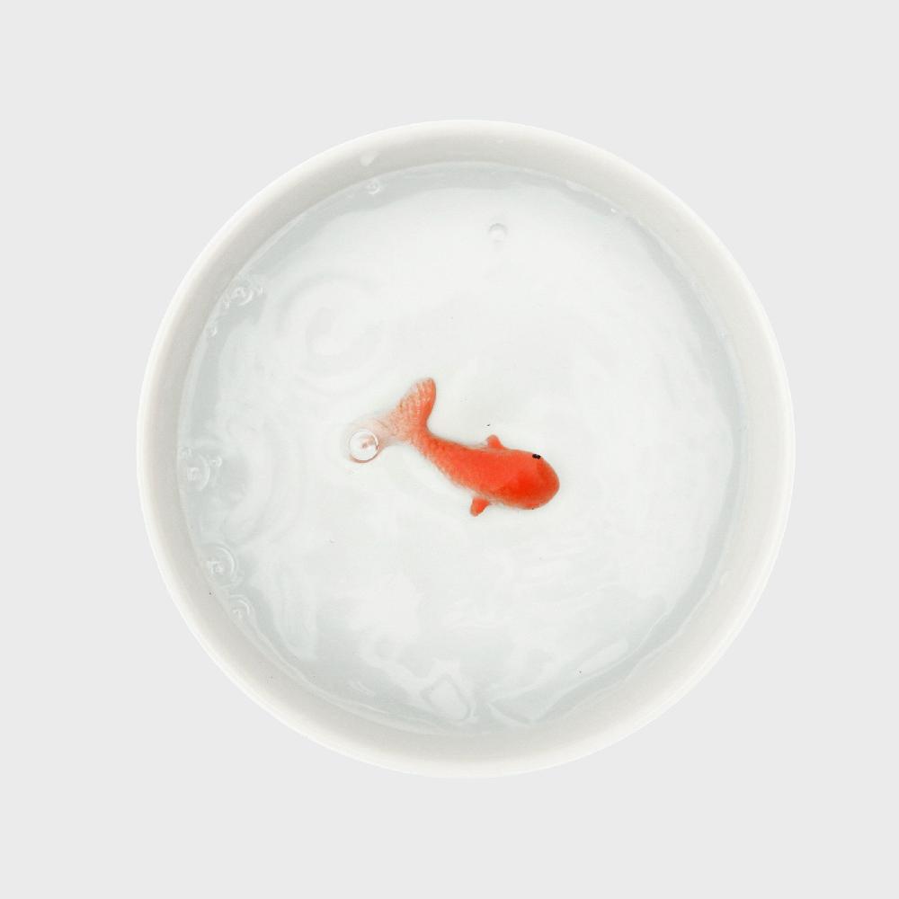 Suck Uk Goldfish Cat Bowl