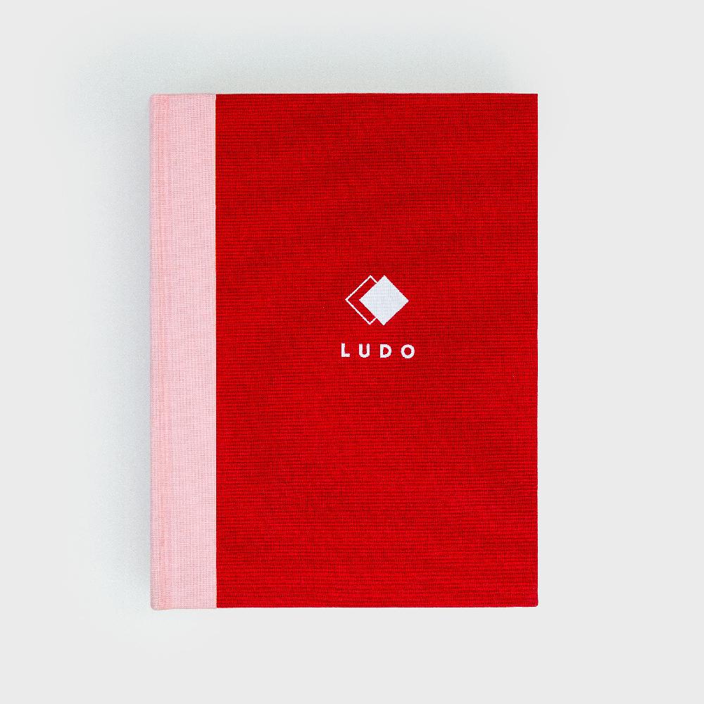 suck uk Ludo in a Book