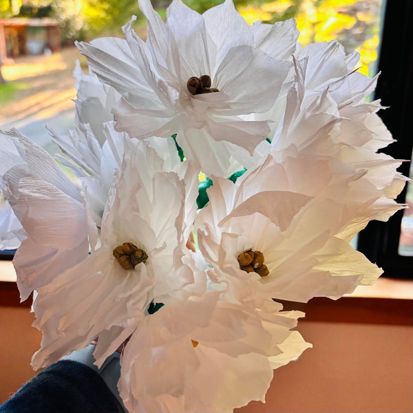 sugar skull White Poinsettia Paper Flowers w/ Gold Center - bag of 1 dozen