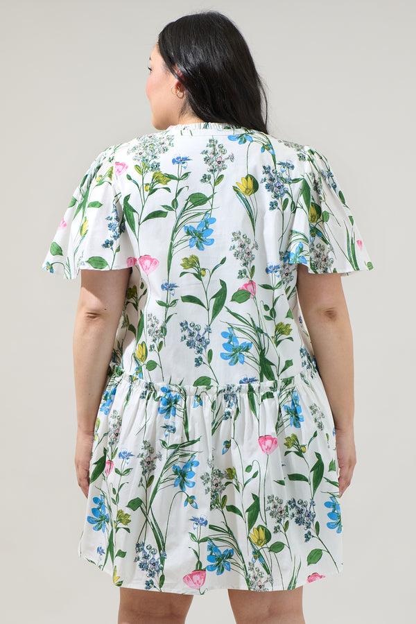 Sugarlips Clove Garden Floral Rock A By Trapeze Mini Dress Curve