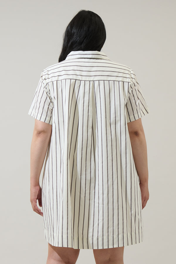 Sugarlips Kamara Striped Ivina Collared Mini Dress Curve