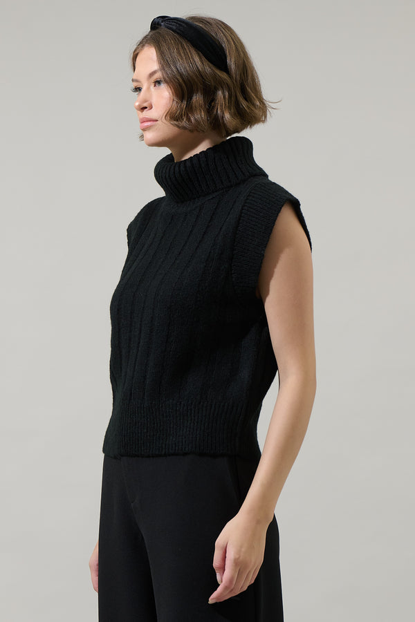 Sugarlips Anaya Turtle Neck Ribbed Sweater Top