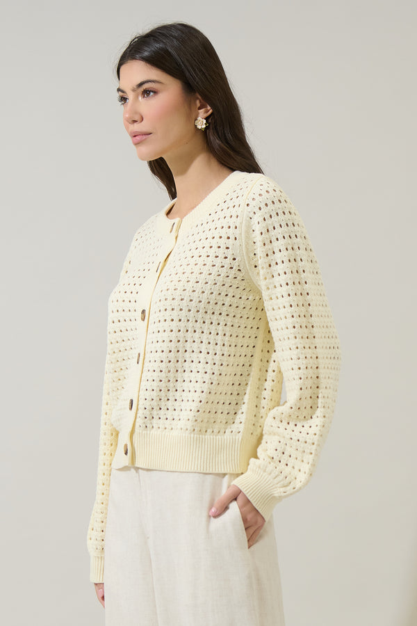 Sugarlips Deffy Button Down Knit Cardigan