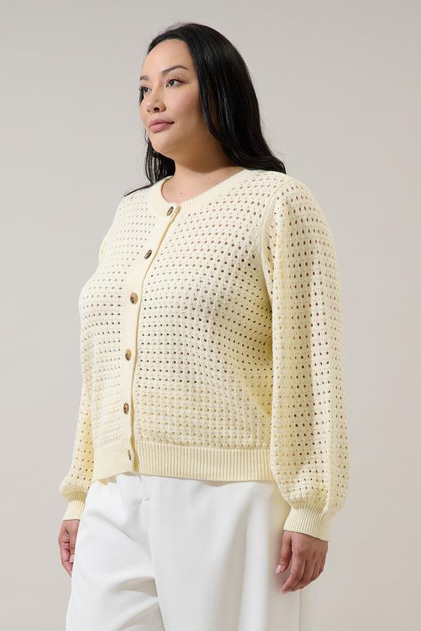 Sugarlips Deffy Button Down Knit Cardigan Curve