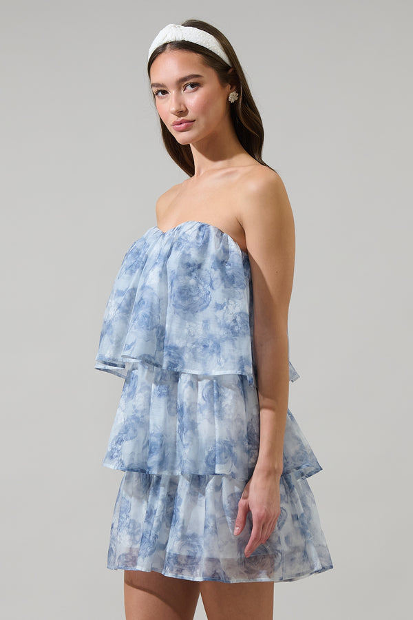 Sugarlips Denny Strapless Organza Dress