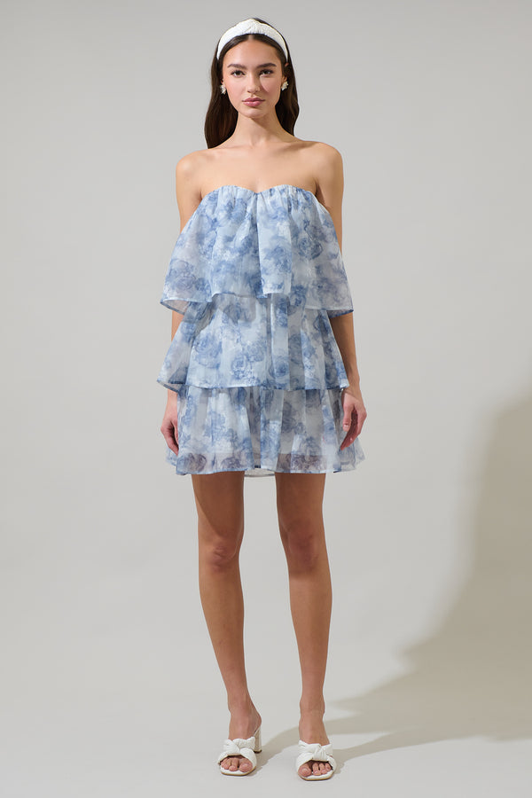 Sugarlips Denny Strapless Organza Dress