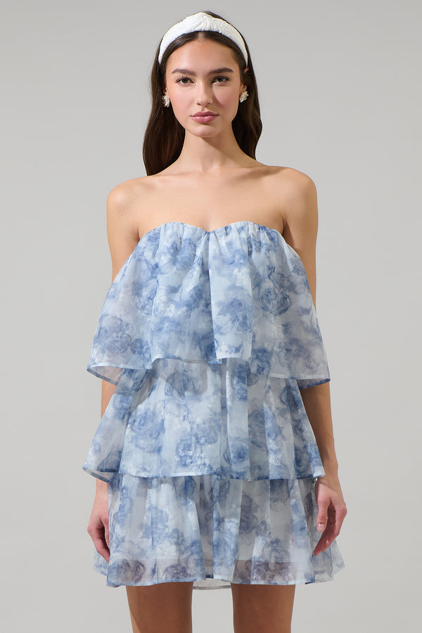 sugarlips Denny Strapless Organza Dress