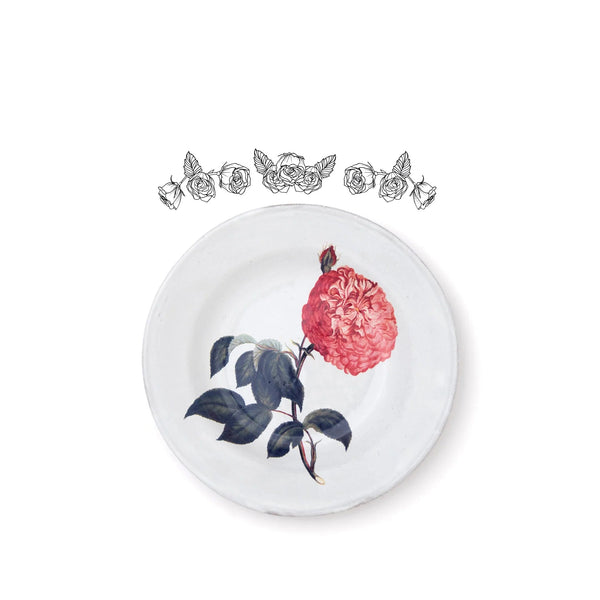 Summerill & Bishop Alternate Rose Plate By Astier De Villatte 22cm
