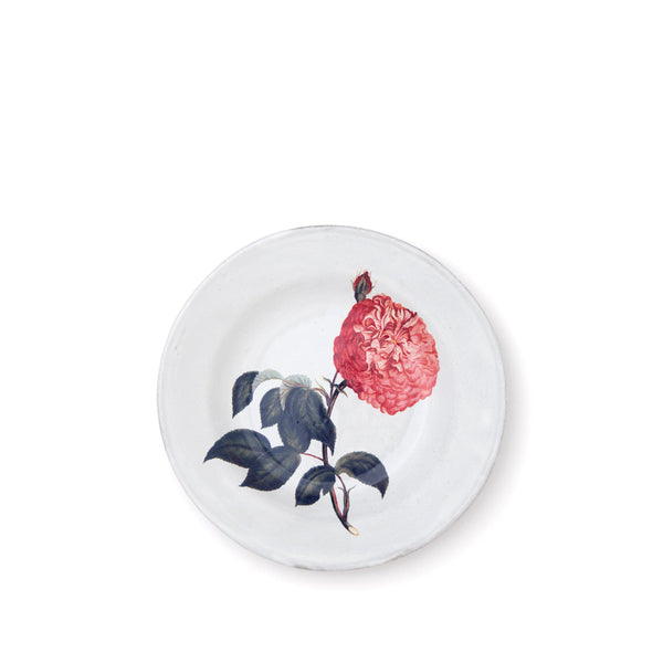 summerill & bishop Alternate Rose Plate by Astier de Villatte 22cm