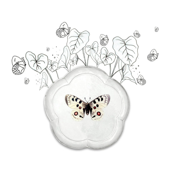 Summerill & Bishop Apollo Butterfly Plate By Astier De Villatte 28.5cm