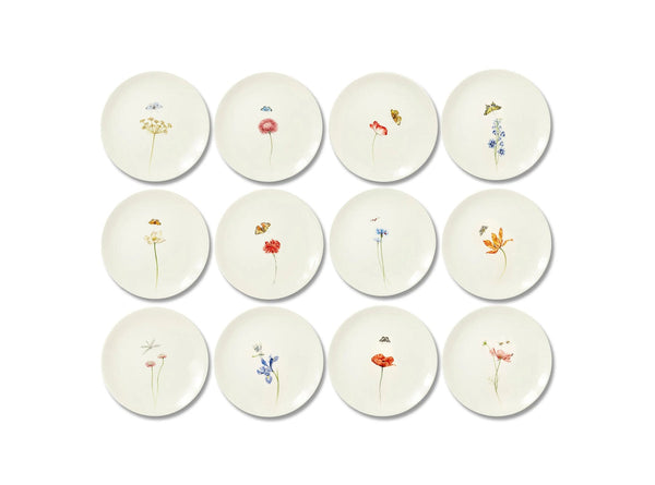 Summerill & Bishop Bloom Pastinaca Satvia Dinner Plate 25cm