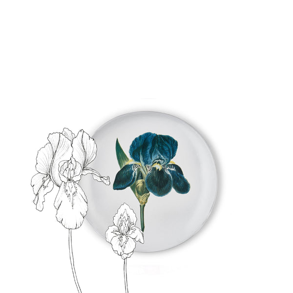 Summerill & Bishop Blue Flower Plate By Astier De Villatte 26cm