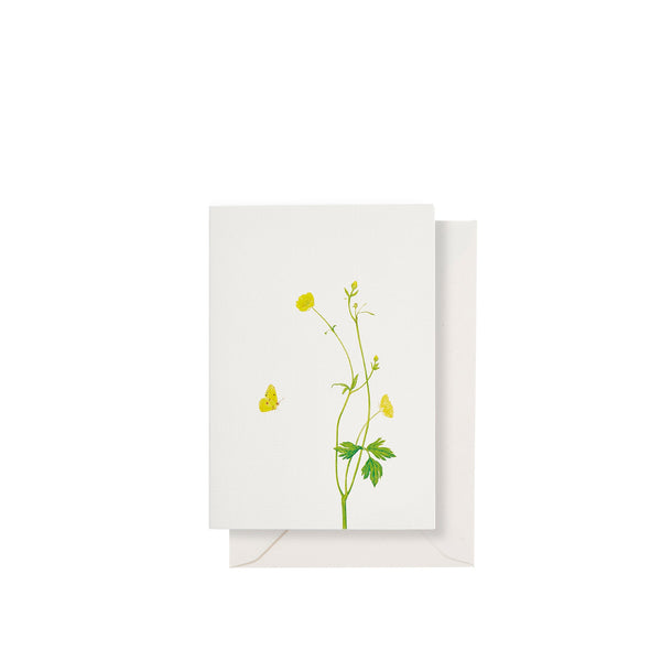 summerill & bishop 'Buttercup' Greeting Card 15cm x 10cm (A6)