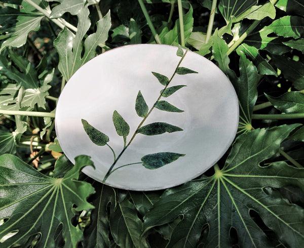 Summerill & Bishop Campanula Leaf Plate By Astier De Villatte 24cm