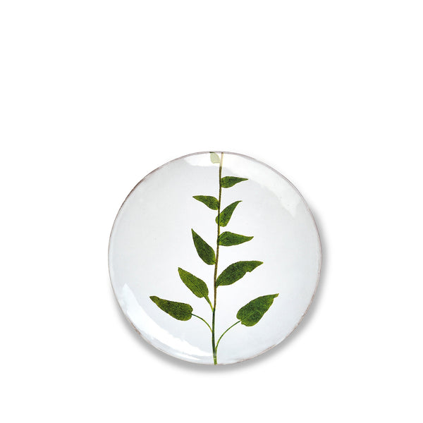 summerill & bishop Campanula Leaf Plate by Astier de Villatte 24cm