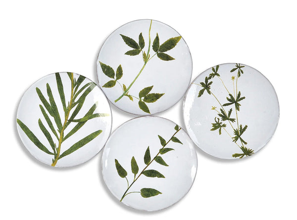 Summerill & Bishop Cichorium Leaf Plate By Astier De Villatte 24cm