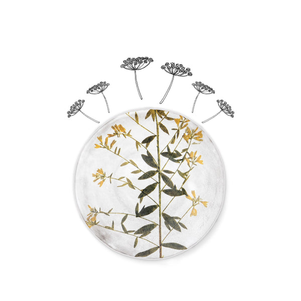 Summerill & Bishop Genista Leaf Plate By Astier De Villatte 24cm