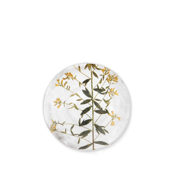 summerill & bishop Genista Leaf Plate by Astier de Villatte 24cm