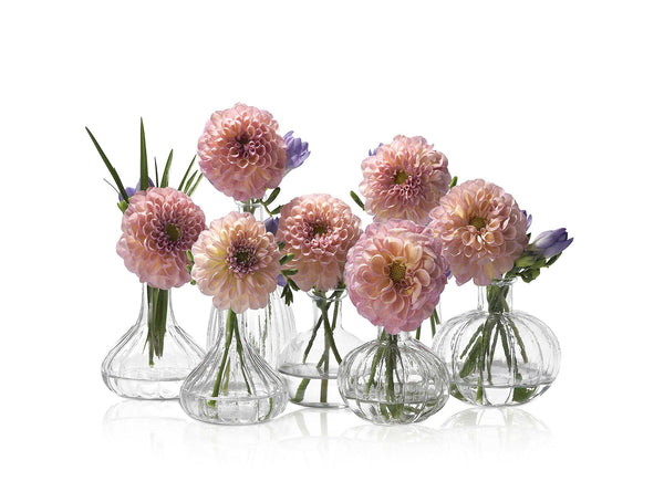 Summerill & Bishop Glass Flower Vase - Eleanor 10cm X 10.5cm