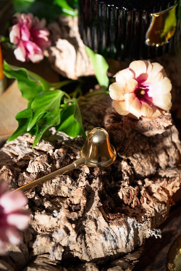 Summerill & Bishop Gold Brass Candle Snuffer By Trudon