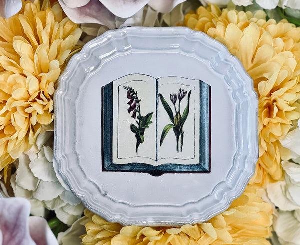 Summerill & Bishop Grand Livre De Fleurs Small Plate By Astier De Villatte 13.5cm
