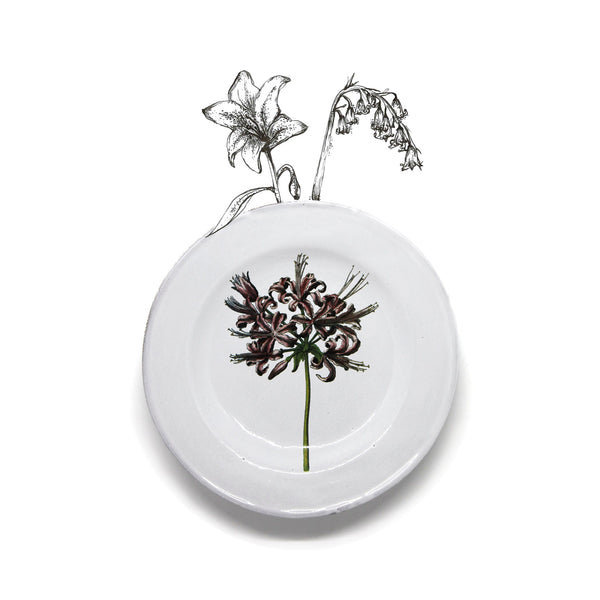 Summerill & Bishop Guernfey Lilly Plate By Astier De Villatte 22cm