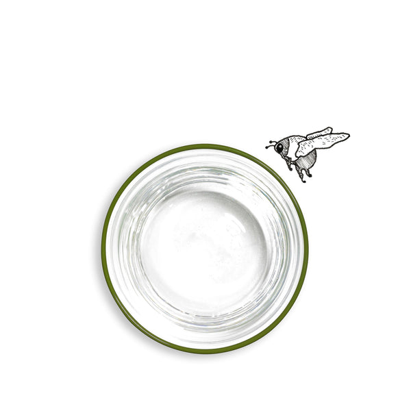 Summerill & Bishop Handblown Clear Bumba Glass Tumbler With Apple Green Rim 30cl