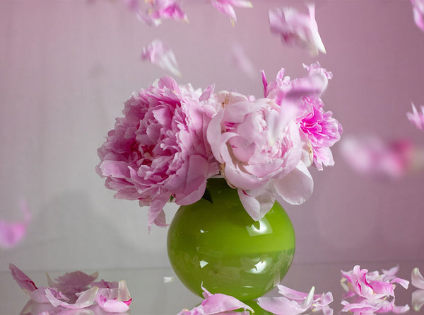 Summerill & Bishop Handblown Glass 'Bumba' Round Vase In Apple Green 14cm