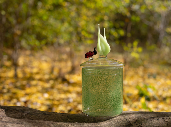 Summerill & Bishop Handblown Glass Green Ladybug Jar 17.5cm