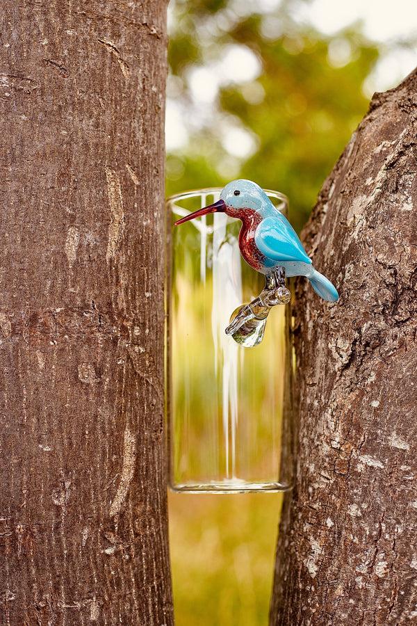 Summerill & Bishop Handblown Glass Hummingbird Carafe 22cm