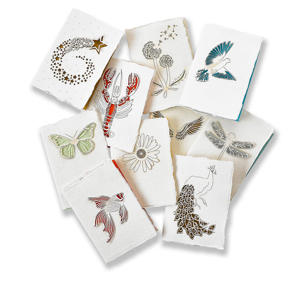 Summerill & Bishop Handmade Paper Greeting Card With Butterfly 15cm X 10cm