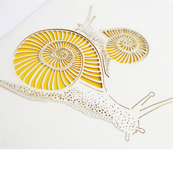 Summerill & Bishop Handmade Paper Greeting Card With Snail 15cm X 10cm