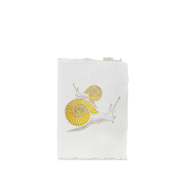 summerill & bishop Handmade Paper Greeting Card with Snail 15cm x 10cm