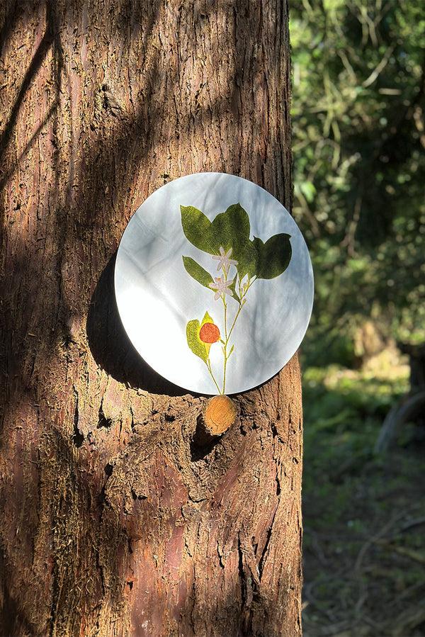 Summerill & Bishop Herbarium Round Cork-backed Placemat In Citrus 34cm